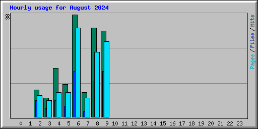 Hourly usage for August 2024